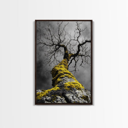 Moss Covered Tree, Dramatic Nature Scene, Autumn Forest Decor, Moody Woodland Art, Framed Canvas Print, Rustic Living Room Wall Art