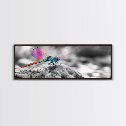 Neon Dragonfly, Nature Insect, Color Burst, Macro Beauty — Framed Canvas Print, Modern Boho Art, Bedroom Wall Art, Nature Photography