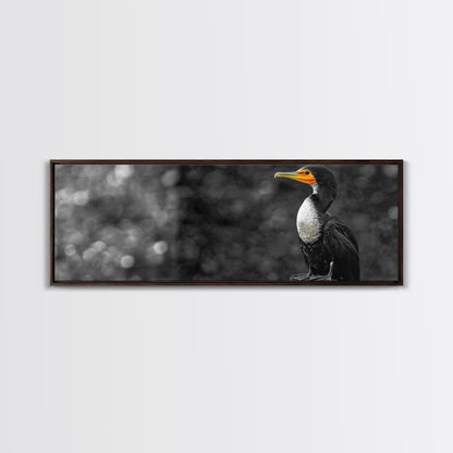 Black White Bird, Orange Beak Detail, Minimal Nature Portrait, Framed Canvas Print, Rustic Wall Art, Study or Cabin Decor