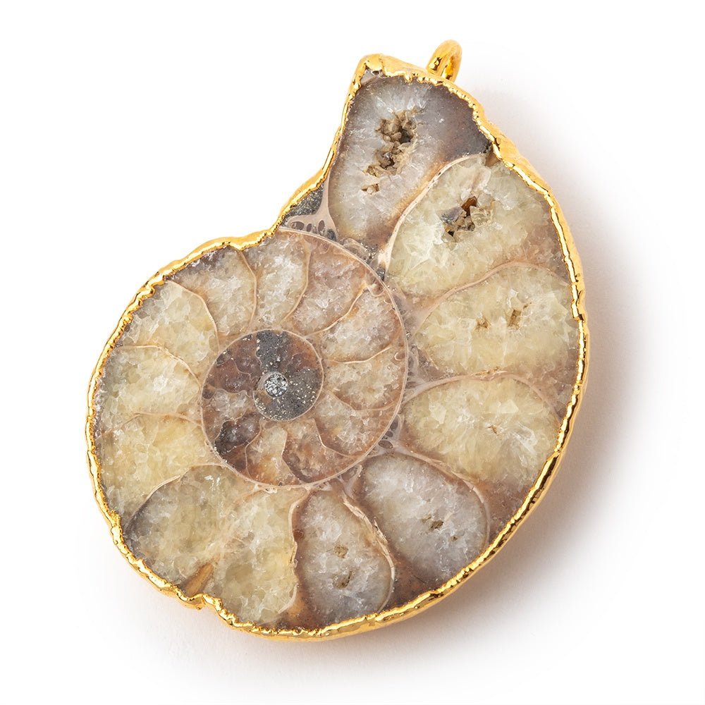 40x32mm Gold Leafed Ammonite Fossil Pendant 1 focal piece
