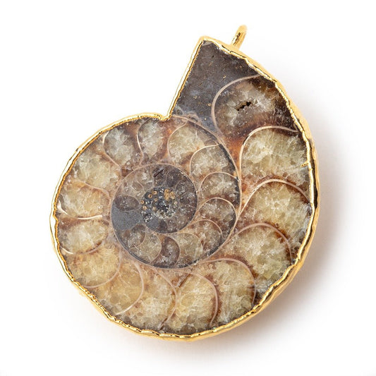 41.5x35mm Gold Leafed Ammonite Fossil Pendant 1 focal piece