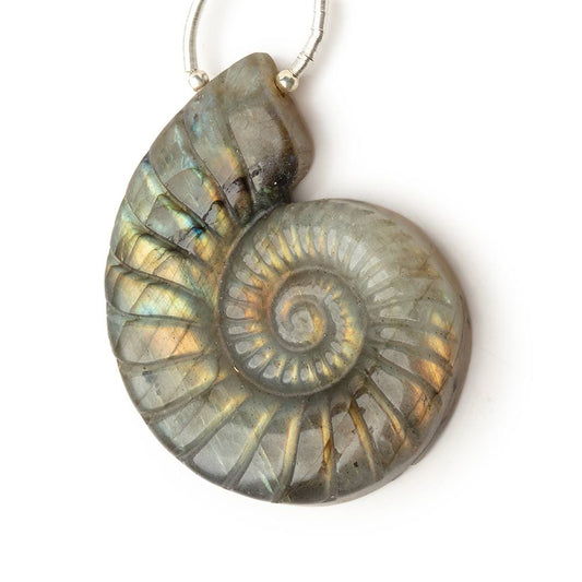 45x36mm Labradorite Carved Ammonite Shaped Focal 1 Pendant