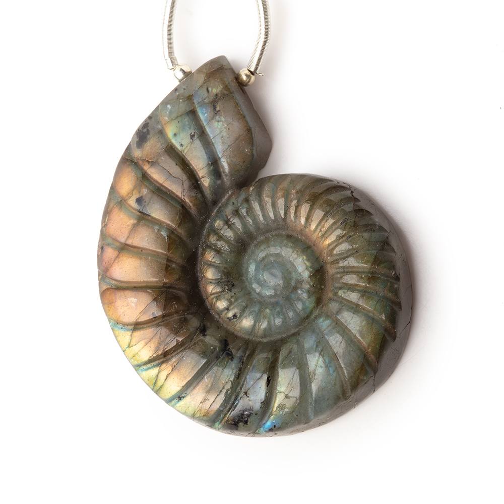 46.5x36.5mm Labradorite Carved Ammonite Shaped Focal 1 Pendant