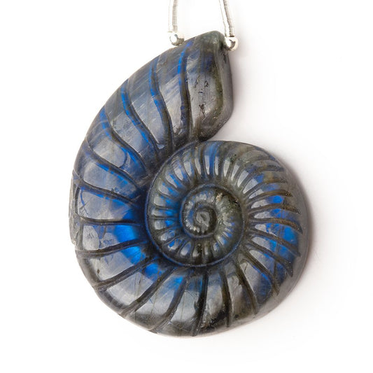 46.5x36.5mm Labradorite Carved Ammonite Shaped Pendant 1 Focal