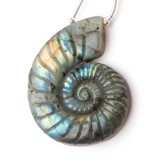 46.5x37mm Labradorite Carved Ammonite Shaped Focal 1 Pendant