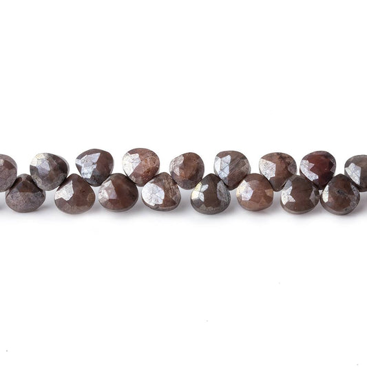 4x4-5x5mm Metallic Brown & Grey Moonstone petite faceted hearts 55 beads AA