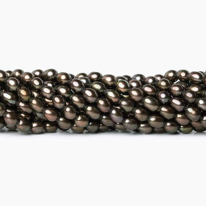4x6mm Bronze Freshwater Pearl Straight Drill Oval 66 pieces