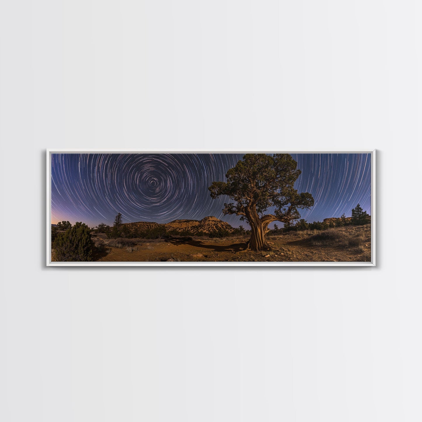 Time Lapse Photography Style Print, Panoramic Wall Art, Starry Night Sky Photo Print, Joshua Tree