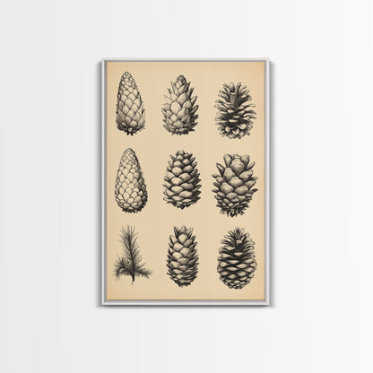 Vintage Pinecones Canvas Print - Framed Canvas - Minimalist Christmas Art - Boho Christmas Art - Rustic Christmas Art