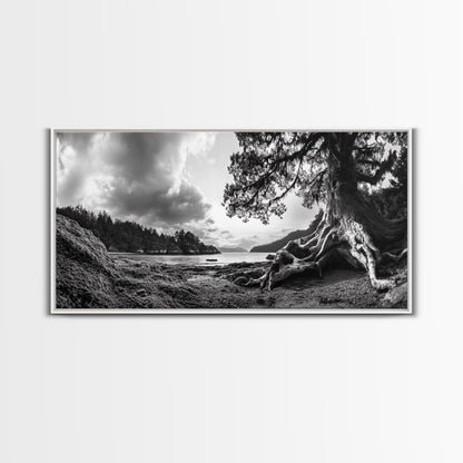 Coastal Tree Roots, Ancient Forest Shore, Pacific Northwest Nature, Moody Black and White Canvas Print, Cabin Wall Art, Woodland Style