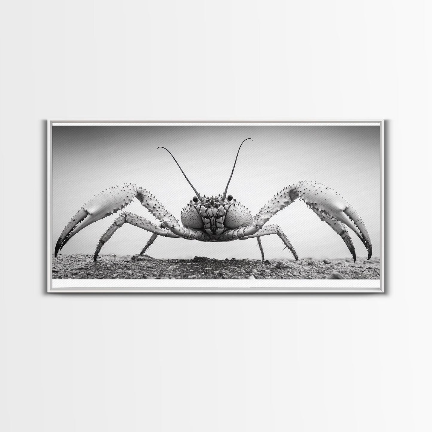 Crab Art, Beach Creature, Monochrome Photography, Nature Close-Up, Framed Canvas Print, Coastal Bathroom Art, Marine Home Style