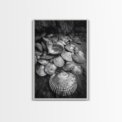 Seashell Pile, Textured Beach, Coastal Treasures, Natural Beauty Framed Canvas Print, bathroom decor, shell art, beach wall style