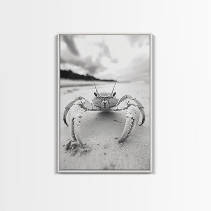 Beach Crab Portrait, Closeup Ocean Art, Tropical Minimalism, Coastal Creature Photo, Framed Canvas Print, Bathroom Wall Decor, Marine Decor