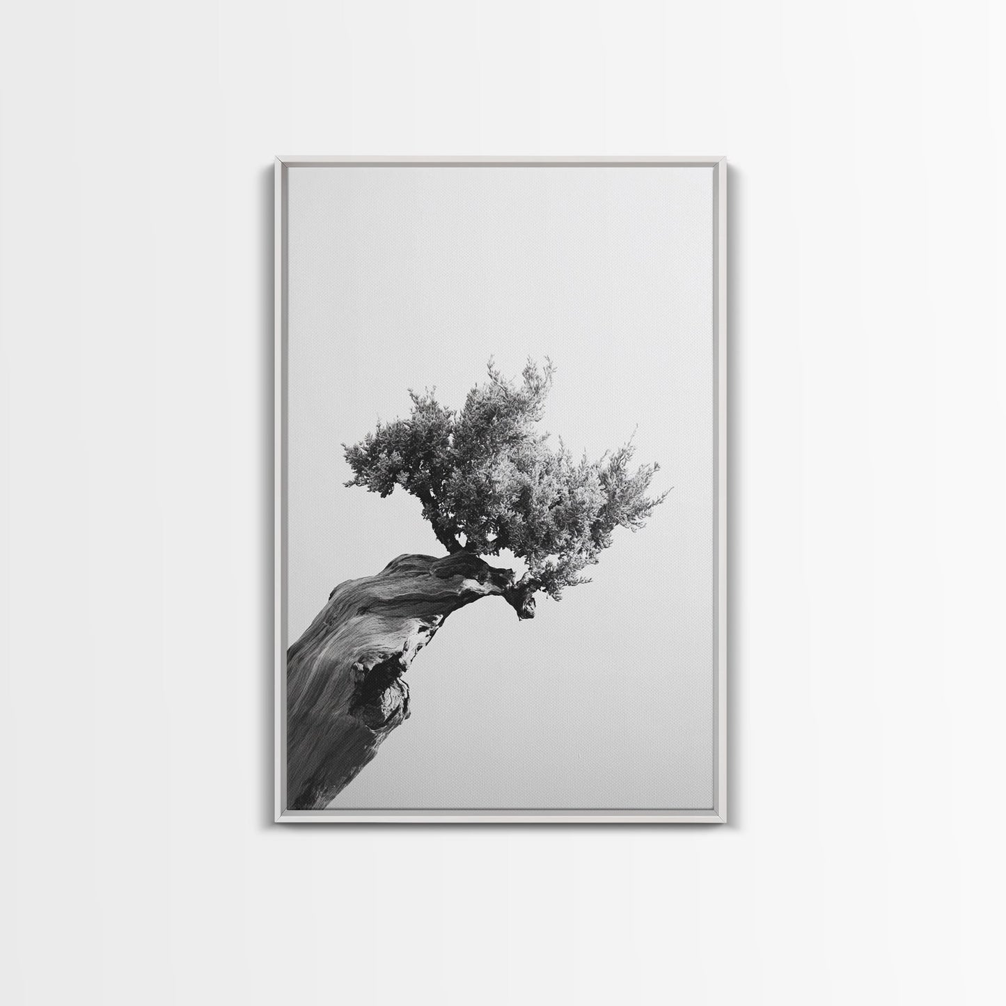 Bonsai Tree, Windswept Wood, Minimal Zen, Canvas Print, Japanese Style Art, Wabi Sabi Decor, Monochrome Botanical Wall Accent