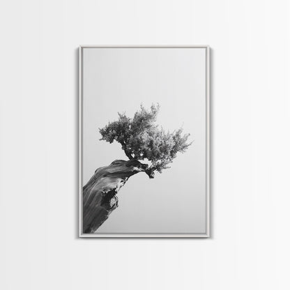 Bonsai Tree, Windswept Wood, Minimal Zen, Canvas Print, Japanese Style Art, Wabi Sabi Decor, Monochrome Botanical Wall Accent