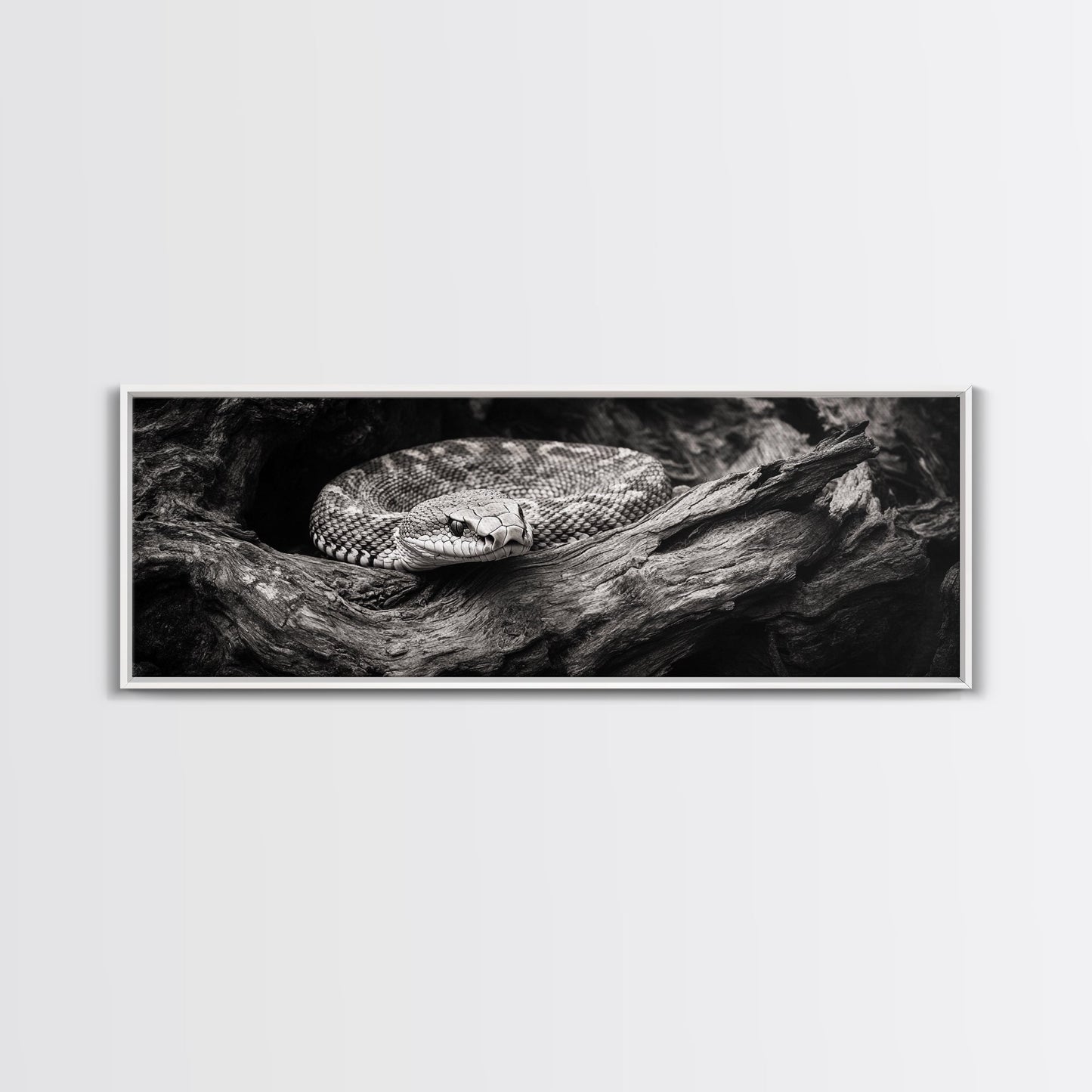 Coiled Rattlesnake, Wild Nature, Black and White, Canvas Print, Rustic Decor, Man Cave Wall Art, Cabin Style, Animal Photography, Moody Art