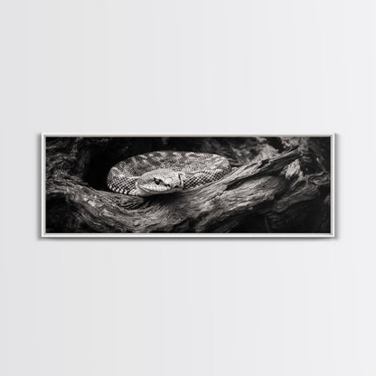 Coiled Rattlesnake, Wild Nature, Black and White, Canvas Print, Rustic Decor, Man Cave Wall Art, Cabin Style, Animal Photography, Moody Art