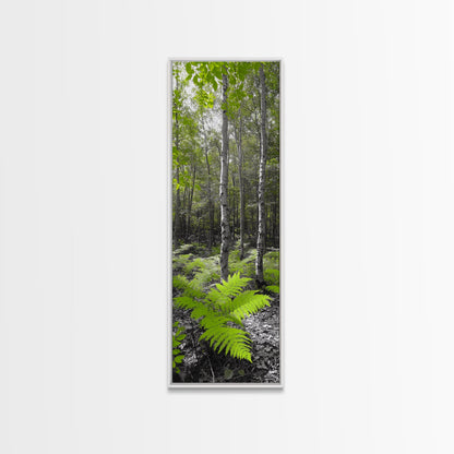 Birch Tree Forest, Green Ferns, Nature Escape, Framed Canvas Print, Botanical Art, Eco Wall Decor, Zen Forest Scene, Serene Living Room