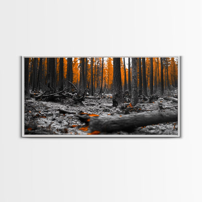 Autumn Forest Floor, Orange Leaves, Fall Nature Scene, Canvas Print, Rustic Wall Art, Cabin Decor, Moody Landscape Framed Canvas Print