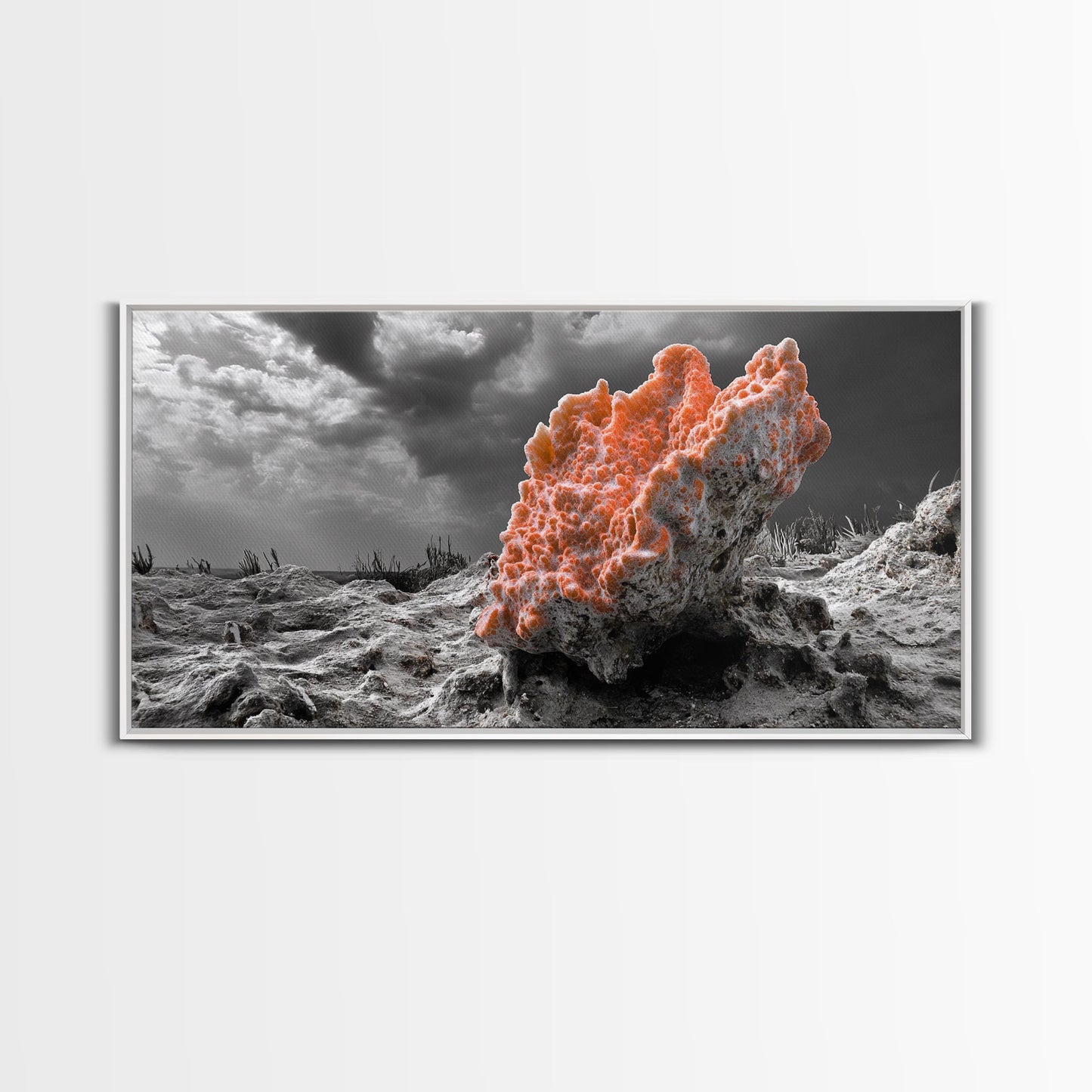 Coral Texture Art, Desert Coral Print, Earthy Organic Decor, Vibrant Nature Scene, Framed Canvas Print, Living Room Wall Art, Natural Art