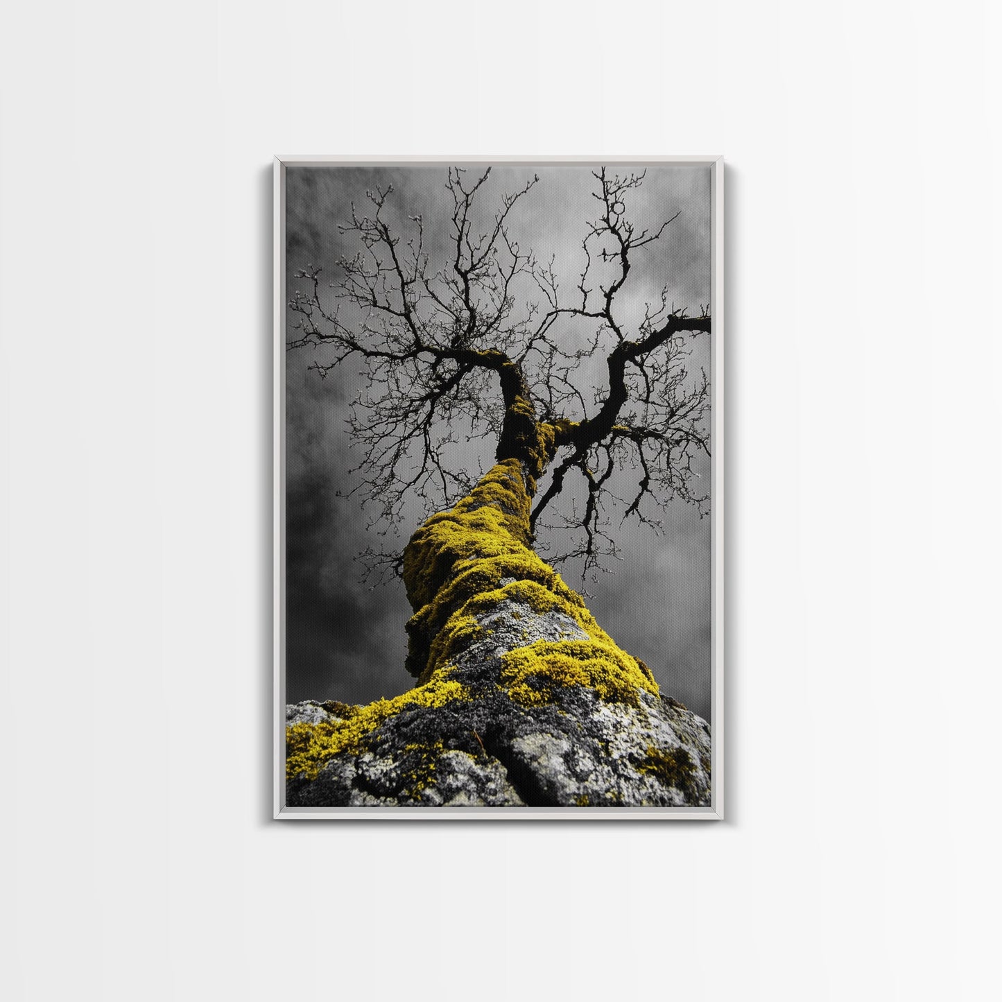 Moss Covered Tree, Dramatic Nature Scene, Autumn Forest Decor, Moody Woodland Art, Framed Canvas Print, Rustic Living Room Wall Art