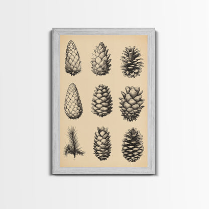 Vintage Pinecones Canvas Print - Framed Canvas - Minimalist Christmas Art - Boho Christmas Art - Rustic Christmas Art