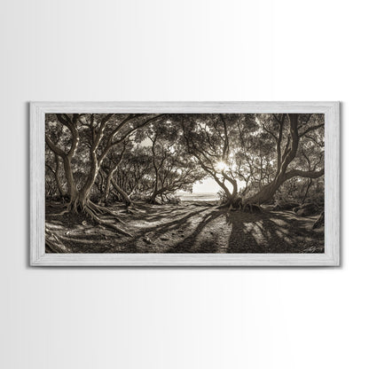 Verzauberter Wald – Licht, Baumschatten, Naturlandschaft, gerahmter Leinwanddruck, rustikale Wandkunst, Walddeko für den Eingangsbereich, Boho-Walddruck