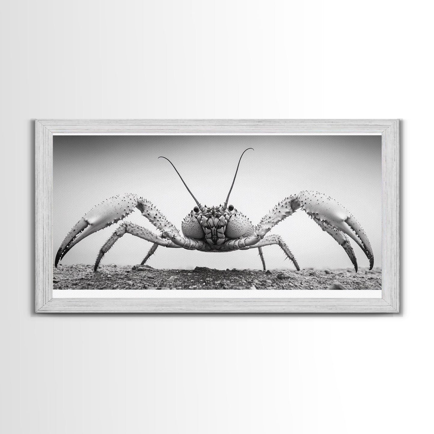 Crab Art, Beach Creature, Monochrome Photography, Nature Close-Up, Framed Canvas Print, Coastal Bathroom Art, Marine Home Style