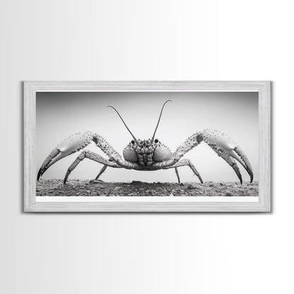 Crab Art, Beach Creature, Monochrome Photography, Nature Close-Up, Framed Canvas Print, Coastal Bathroom Art, Marine Home Style