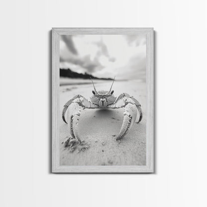 Beach Crab Portrait, Closeup Ocean Art, Tropical Minimalism, Coastal Creature Photo, Framed Canvas Print, Bathroom Wall Decor, Marine Decor