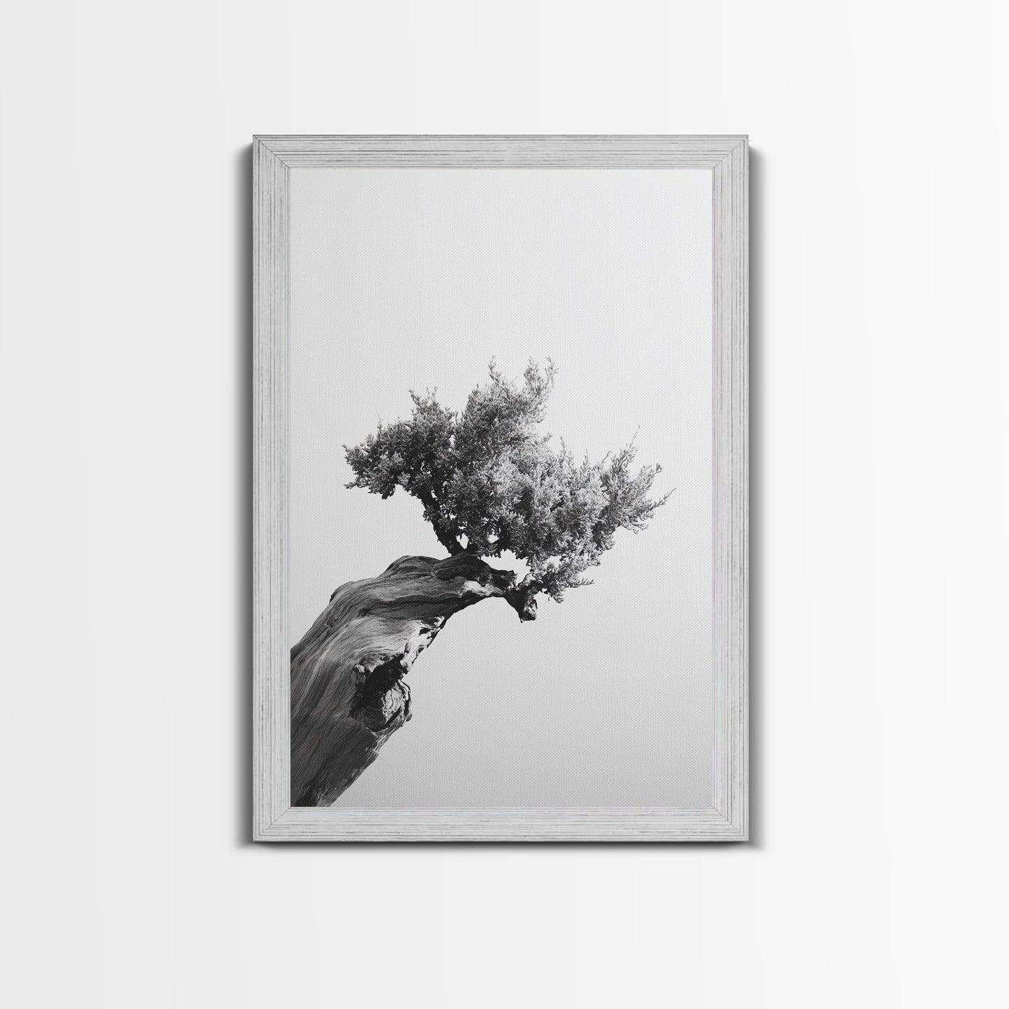 Bonsai Tree, Windswept Wood, Minimal Zen, Canvas Print, Japanese Style Art, Wabi Sabi Decor, Monochrome Botanical Wall Accent