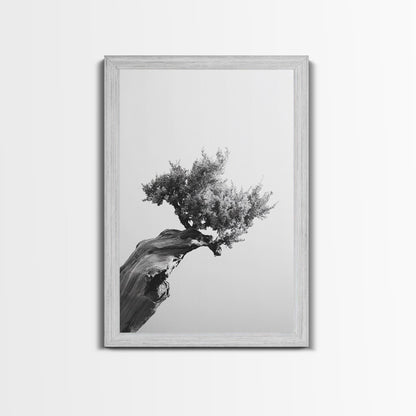 Bonsai Tree, Windswept Wood, Minimal Zen, Canvas Print, Japanese Style Art, Wabi Sabi Decor, Monochrome Botanical Wall Accent