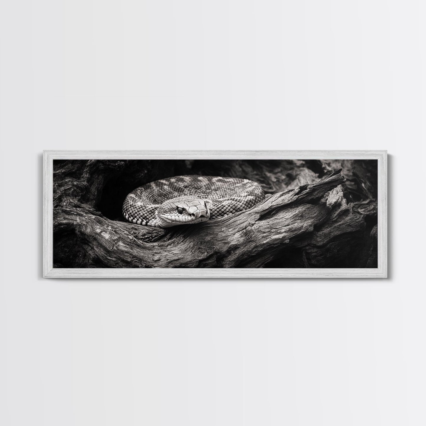 Coiled Rattlesnake, Wild Nature, Black and White, Canvas Print, Rustic Decor, Man Cave Wall Art, Cabin Style, Animal Photography, Moody Art