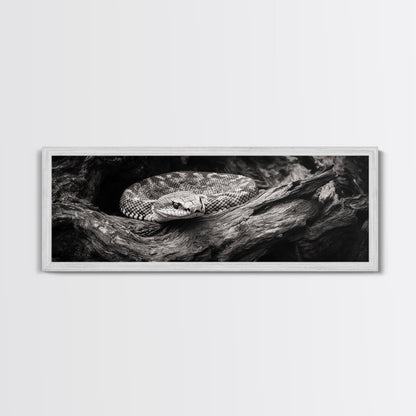 Coiled Rattlesnake, Wild Nature, Black and White, Canvas Print, Rustic Decor, Man Cave Wall Art, Cabin Style, Animal Photography, Moody Art