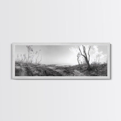Windswept Coastal Trees, Driftwood Beach Landscape, Black White Canvas Print, Autumn Wall Art, Nature-Inspired Living Room Decor