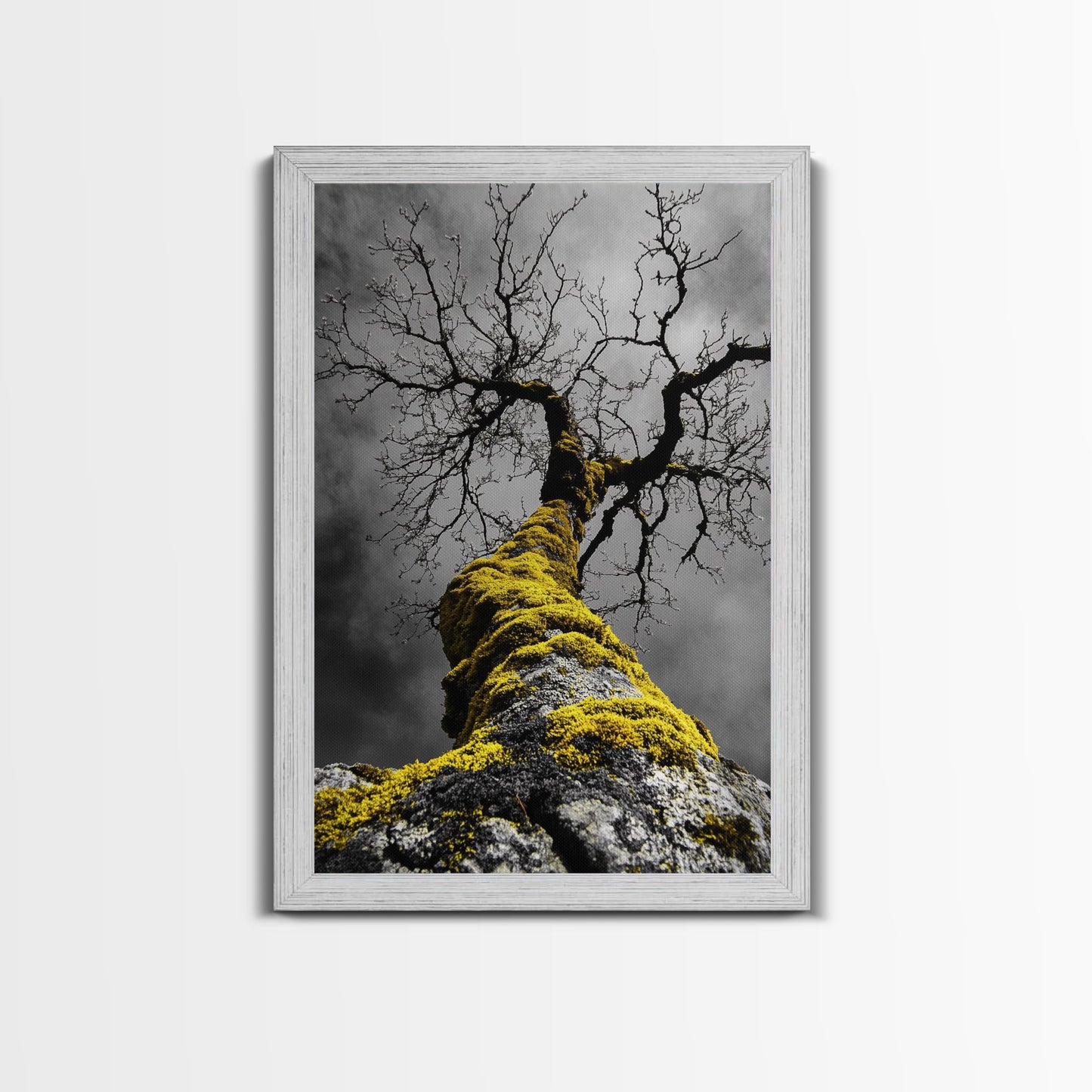 Moss Covered Tree, Dramatic Nature Scene, Autumn Forest Decor, Moody Woodland Art, Framed Canvas Print, Rustic Living Room Wall Art