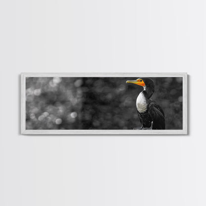 Black White Bird, Orange Beak Detail, Minimal Nature Portrait, Framed Canvas Print, Rustic Wall Art, Study or Cabin Decor