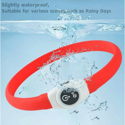 LED Waterproof Dog Collar for Night Safety and Visibility
