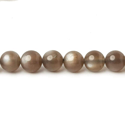 6mm Chocolate Brown Moonstone Plain Rounds 16 inch 69 beads AA