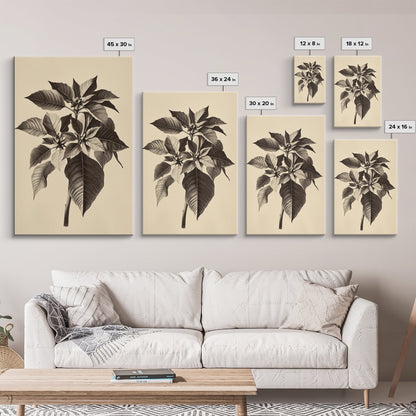 Vintage Poinsetta Canvas Print - Framed Canvas - Minimalist Christmas Art - Boho Christmas Art - Rustic Christmas Art