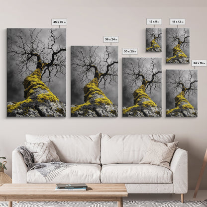 Moss Covered Tree, Dramatic Nature Scene, Autumn Forest Decor, Moody Woodland Art, Framed Canvas Print, Rustic Living Room Wall Art