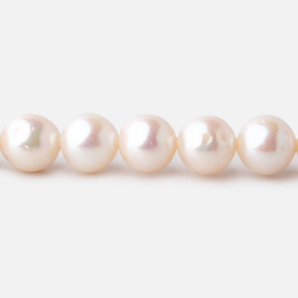 7.5-8.5mm Off White Chinese Akoya Saltwater Pearls 16 inch 53 pieces A
