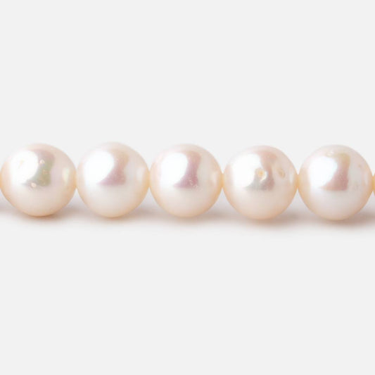 7.5-8.5mm Off White Chinese Akoya Saltwater Pearls 16 inch 53 pieces A