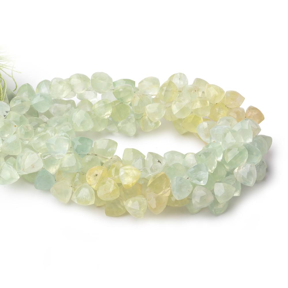 7mm Prehnite Top Drilled Trillion 8 inch 56 pieces