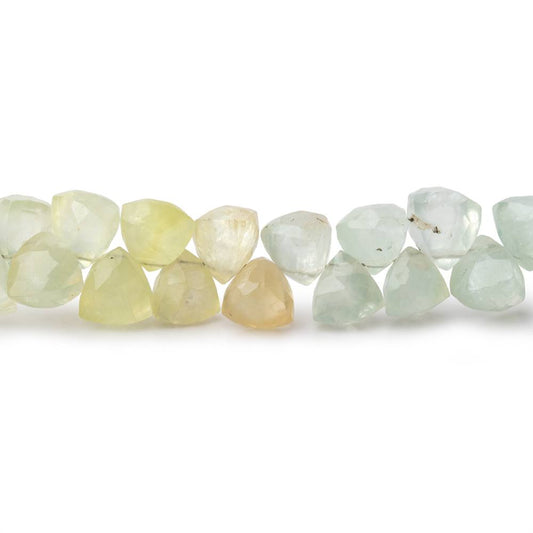 7mm Prehnite Top Drilled Trillion 8 inch 56 pieces