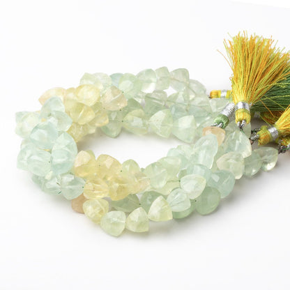 8-9mm Prehnite Faceted Trillion Beads 8 inch 22 pieces