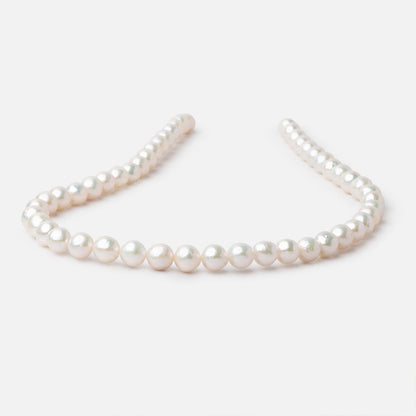 8mm Off White Chinese Akoya Saltwater Pearls 15.5 inch 50 pieces A