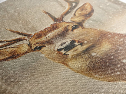 Portrait of a Deer in Winter, Framed Canvas print, Winter Decor, Winter Not Christmas Wall Art, Seasonal Decor