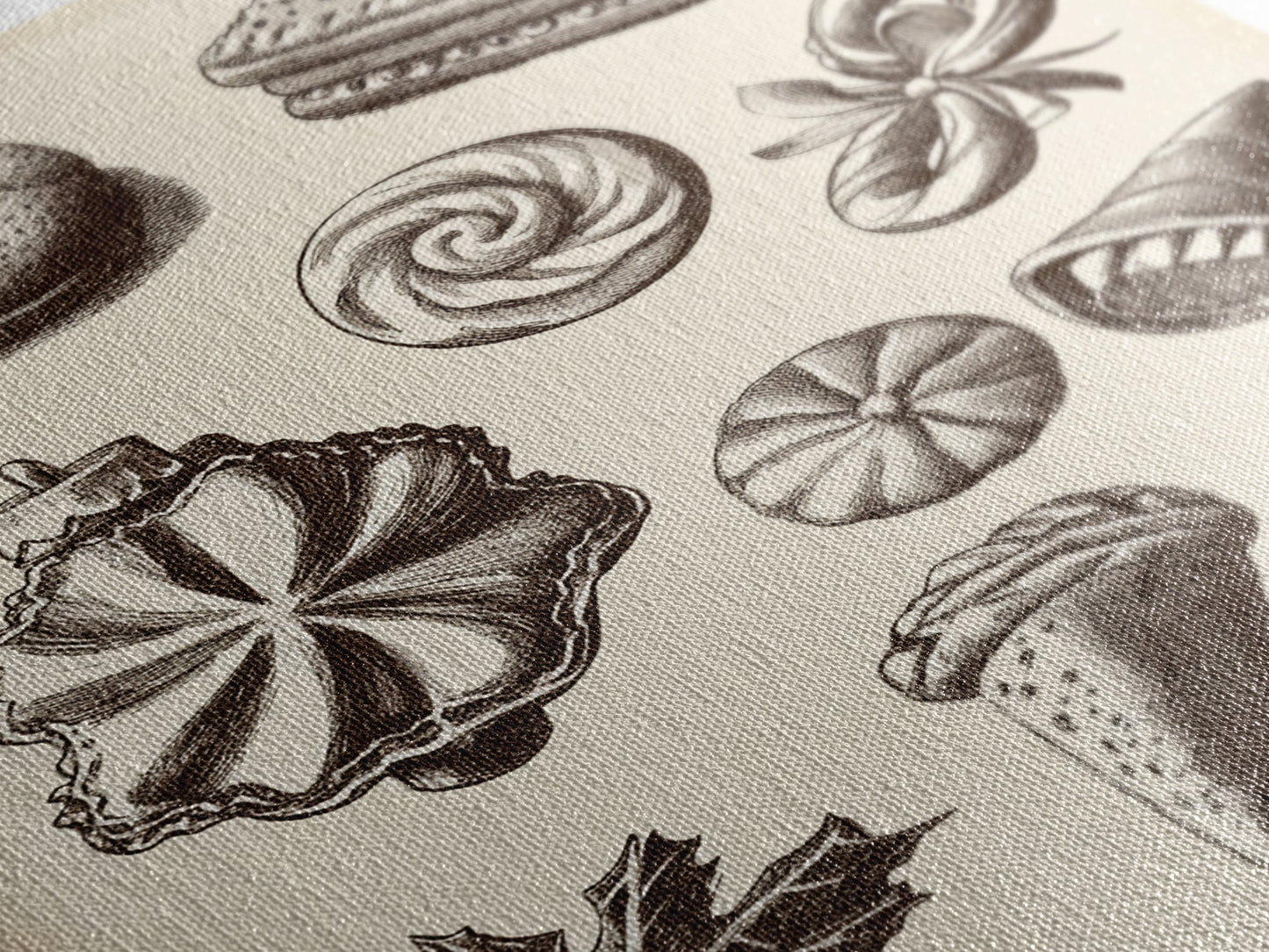 Cute Christmas Cookies Canvas Print - Framed Canvas - Minimalist Christmas Art - Boho Christmas Art - Rustic Christmas Art