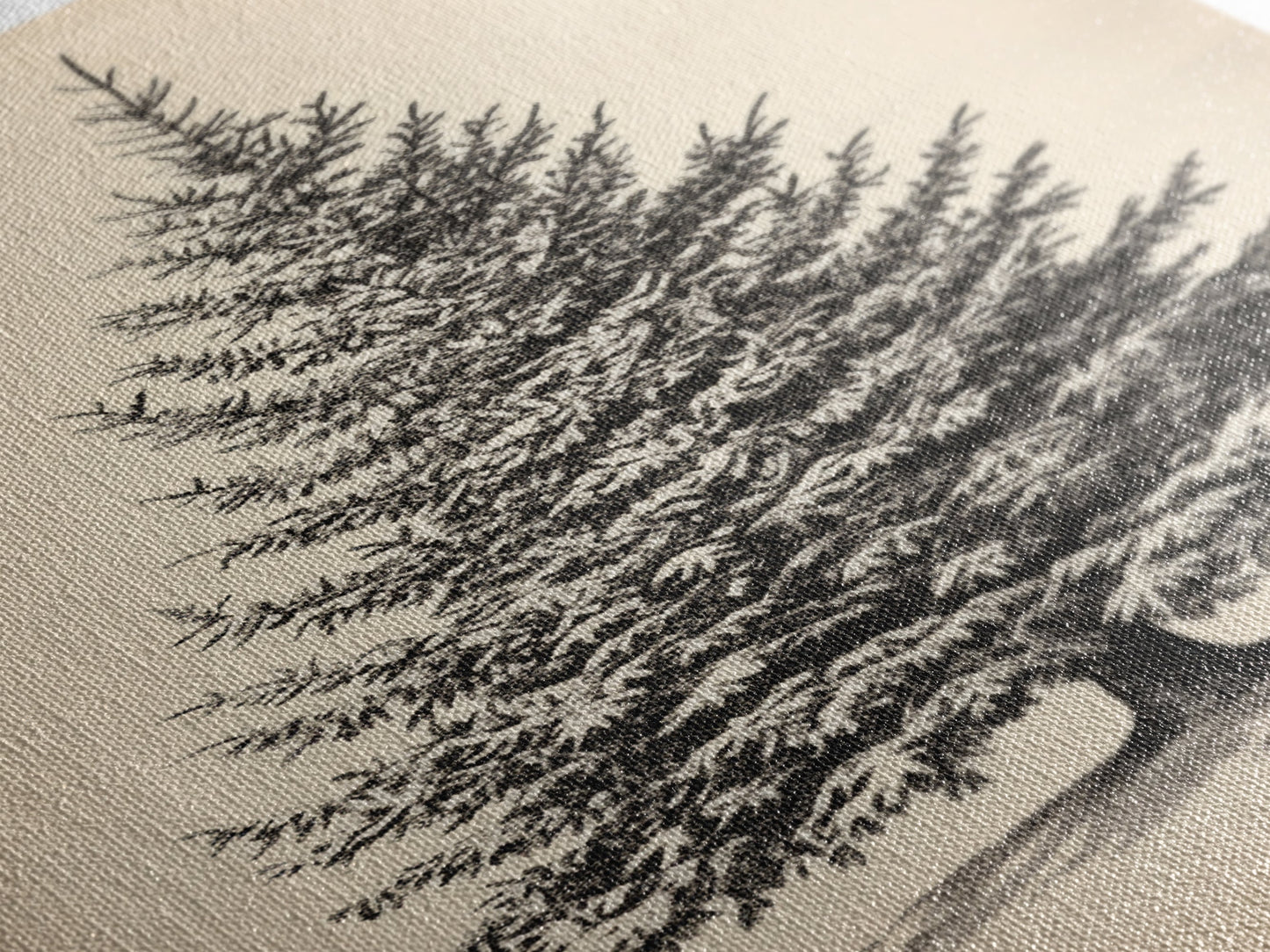 Sketch of a Christmas Tree Canvas Print - Framed Canvas - Minimalist Christmas Art - Boho Christmas Art - Rustic Christmas Art